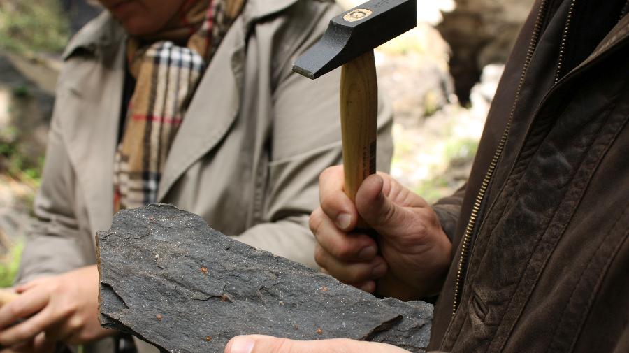 Geologie_IMG_2048_Linke 16x9.jpg