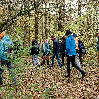 Artenakademie auf Pilzsuche