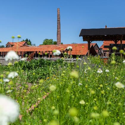 Wir bauen eine Ritterburg