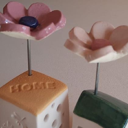 Ich schenke dir Zeit: Rettet die Wildbienen