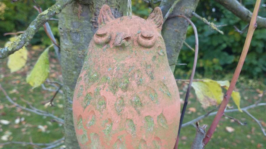 Zuhause f¿r Ohrenkneifer 16x9.jpg