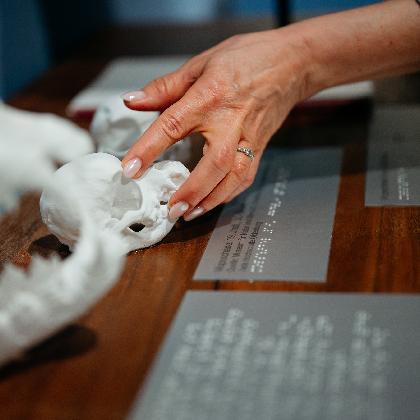 Tastend durch die Genetik im LWL-Museum für Naturkunde