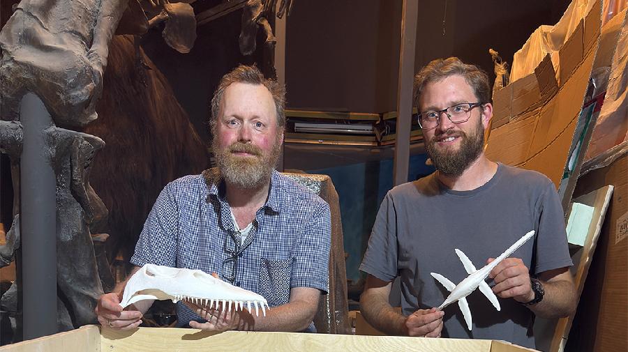 Zwei Männer stehen am Kopf einer Holzkiste und halten jeweils ein Fossil in den Händen