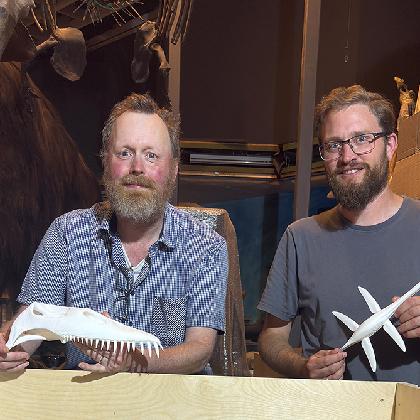 Die Welt der Plesiosaurier