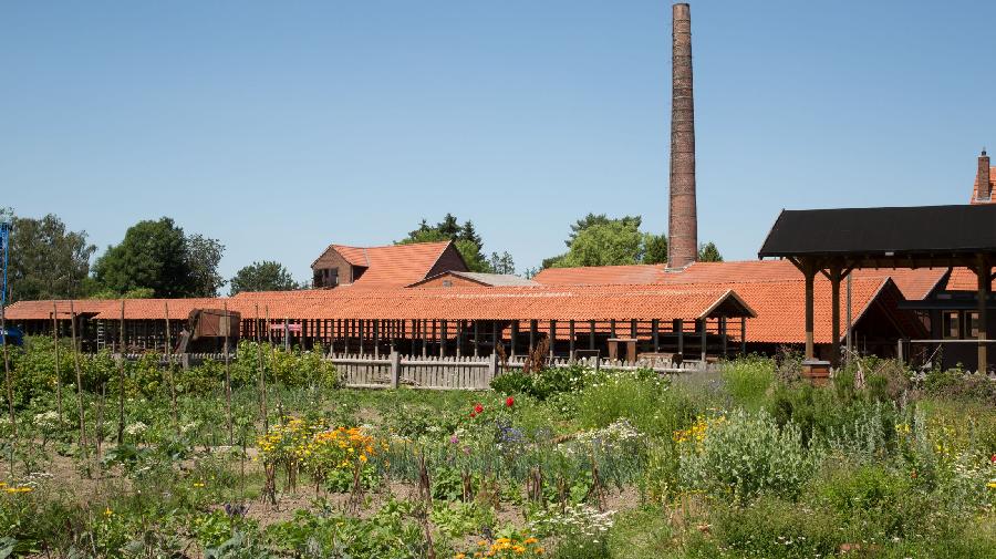 13351-020 Sommerblumen16x9.jpg