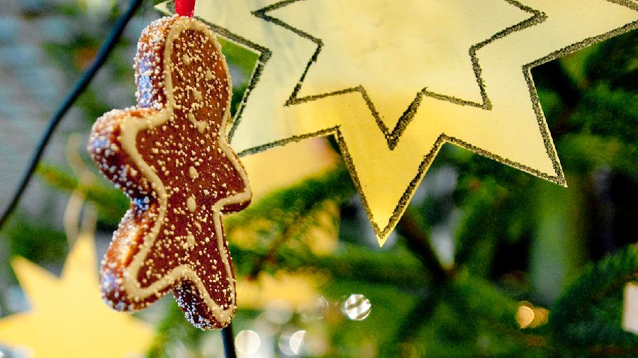 Ein gelber Papierstern und ein Lebkuchenmänchen hängen in einem Tannenbaum