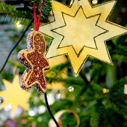 Heiligabend: Eintritt frei im LWL-Museum für Naturkunde