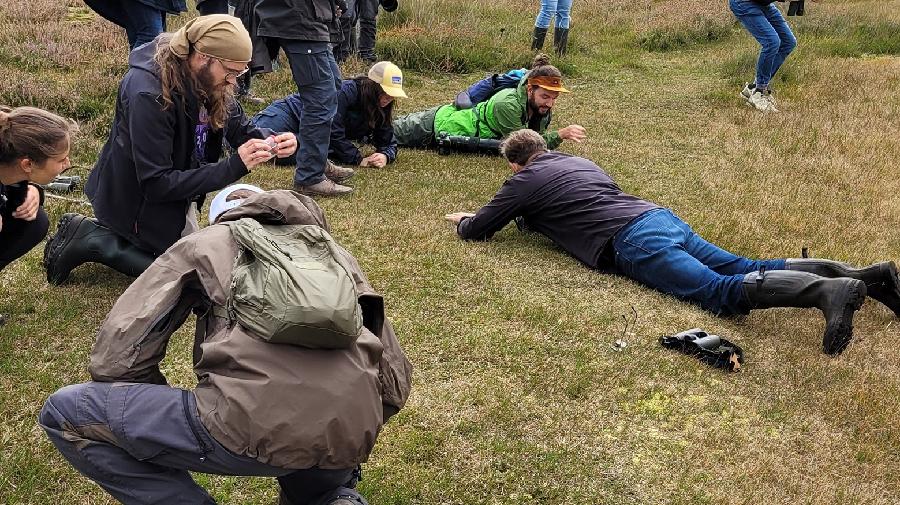 Eine Gruppe von Menschen untersucht auf einer Wiese Spuren am Boden.