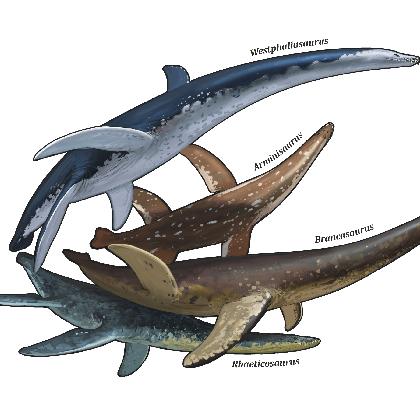 Fossil des Jahres 2026: Westfälische Plesiosaurier