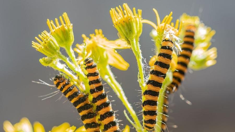 2024 07 09_U.Ma._0543_Quadrat 16x9.jpg