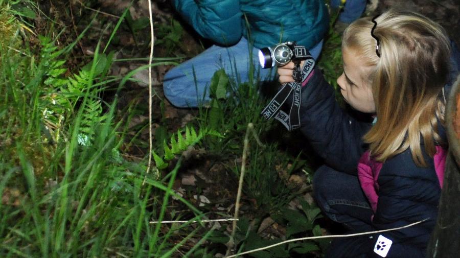 12757-Nachtigall-Nachtsafari-011 16x9.jpg