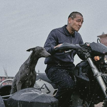 Balck Dog - Weggefährten (Gou Zhen)