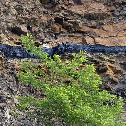 Alles aus einem Berg