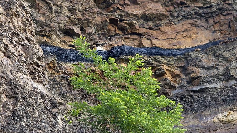 Kohlezeit_Steinbruch D¿nkelberg_Ehses 16x9.jpg