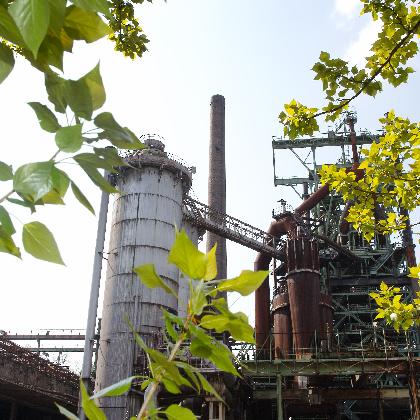 Der Grüne Weg der Industrienatur