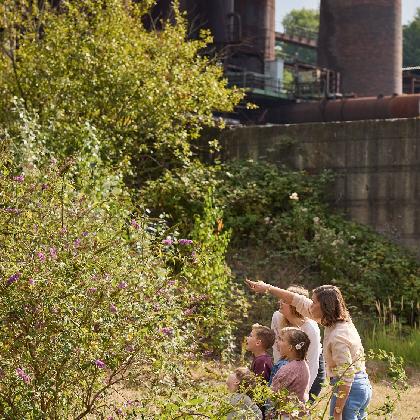Der Grüne Weg der Industrienatur