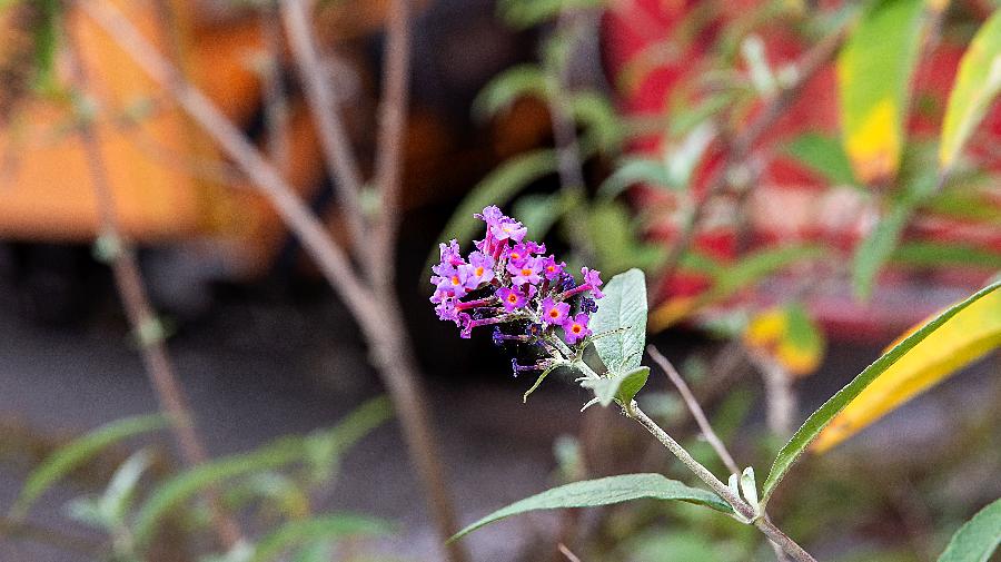 GR¿NE H¿TTE HERBST424 16x9.jpg