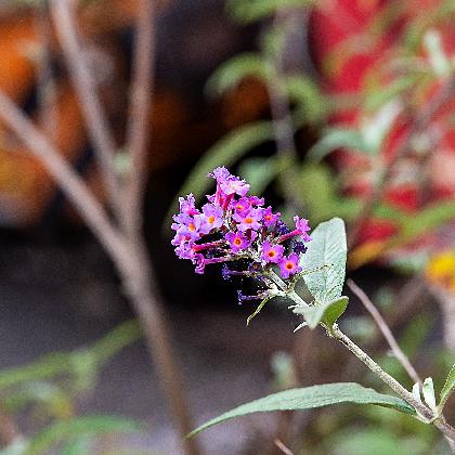 Spurensuche auf der Hütte