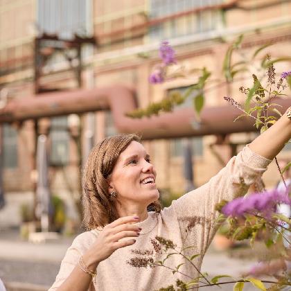 Eisenkraut und Feuerblume