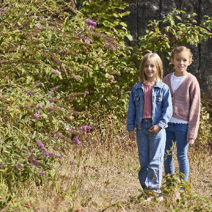 Der Grüne Weg der Industrienatur