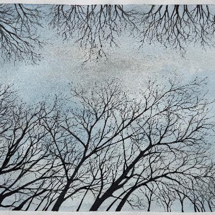 "Frühlingserwachen - Pflanzen und Bäume im Portrait"