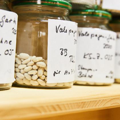 Saatgut- und Pflanzentauschbörse