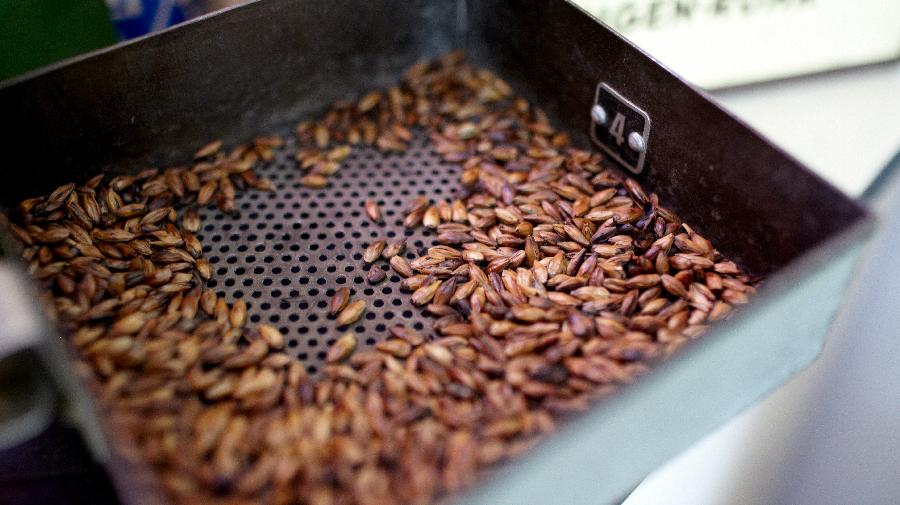 gerösteter Kornkaffe