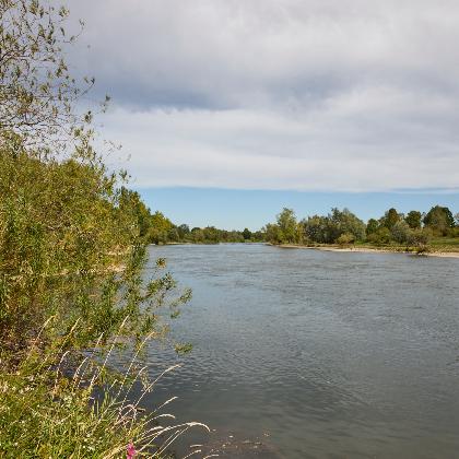 Es gluckst, es piept, es pfeift!