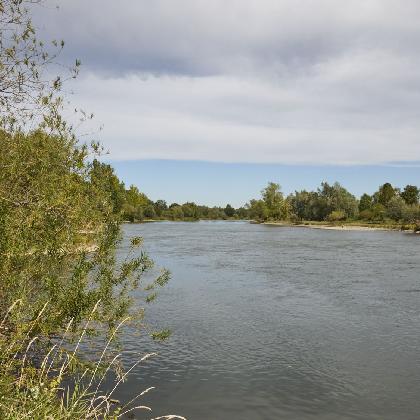 Gernheimer Kaffeesalon