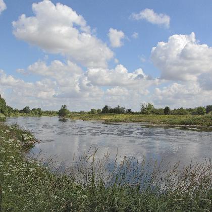 Vogelwelt an der Weseraue