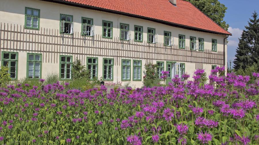 13.8._11605-005 16x9.jpg