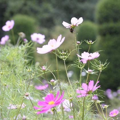 Das Freilichtmuseum öffnet seine Tore