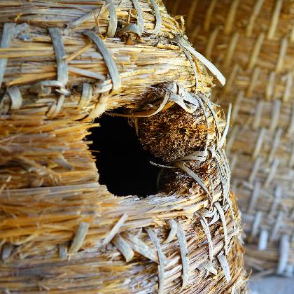 Alarm für die Biene