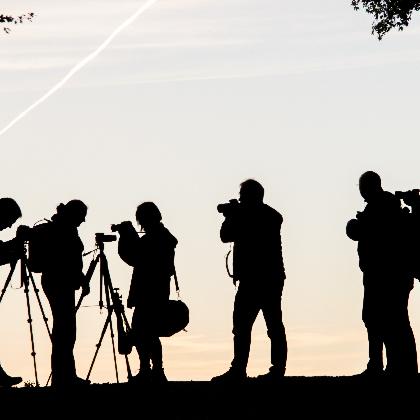 Foto-Dämmerungsspaziergang