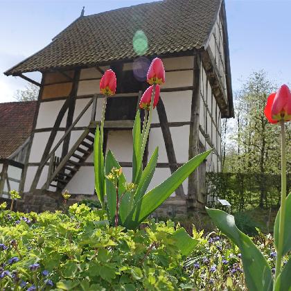 Mach mit! Kunterbunt eingetütet