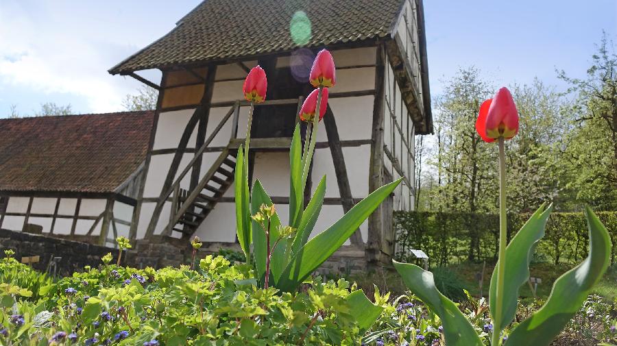 170423-FM27-kl_Robin J¿hne.jpg