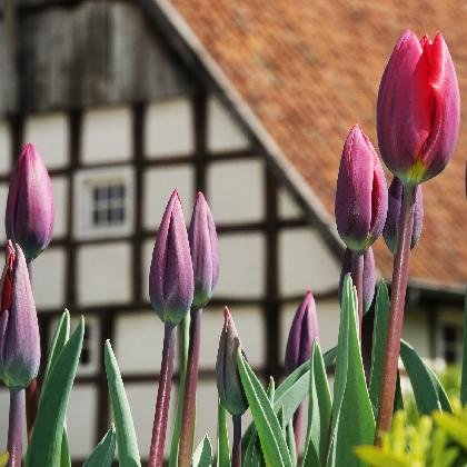 Mach mit! Wachswerkstatt