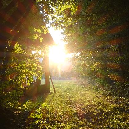 Foto-Morgenstundspaziergang