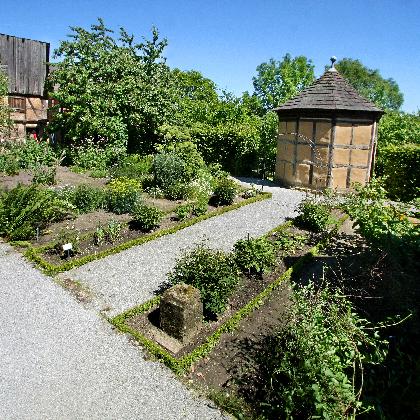 Führung durch den Apothekergarten
