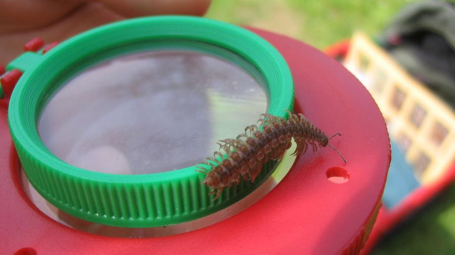 Bandf¿sser 16x9.jpg