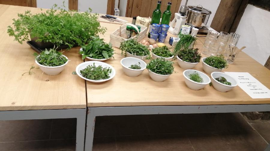 Osterkr¿utersuppe_AnnaLuszek.jpg