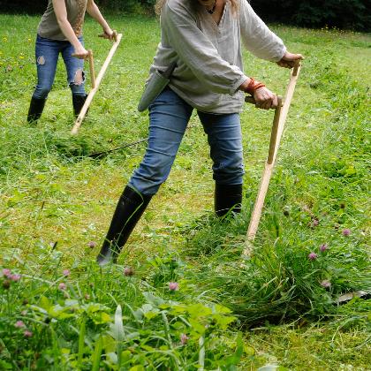 Mähen mit der Sense