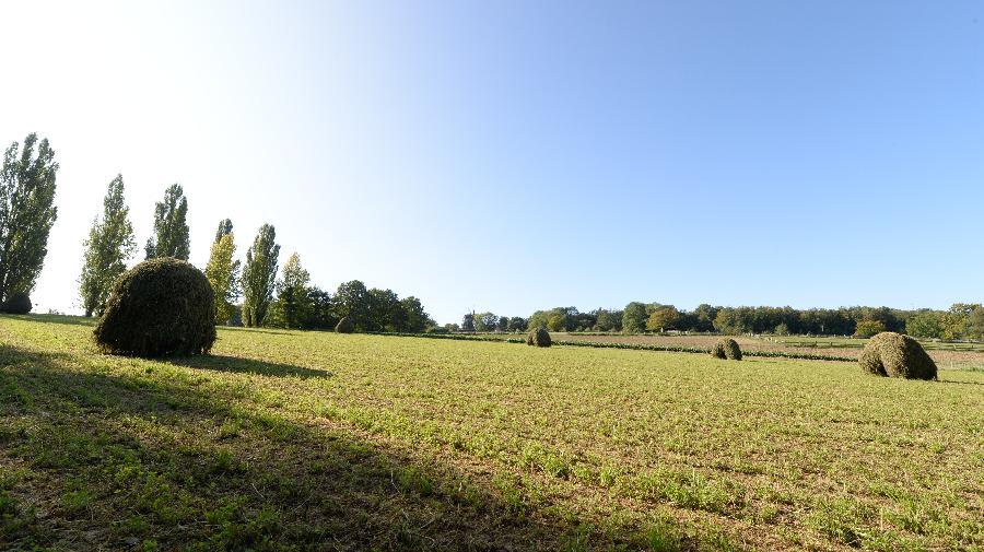 Feld_und_Flur_GuidoKlein.JPG