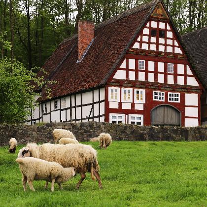 Das Paderborner Dorf