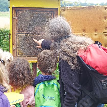 Naturbegegnungen: Wilden Bienen muss geholfen werden