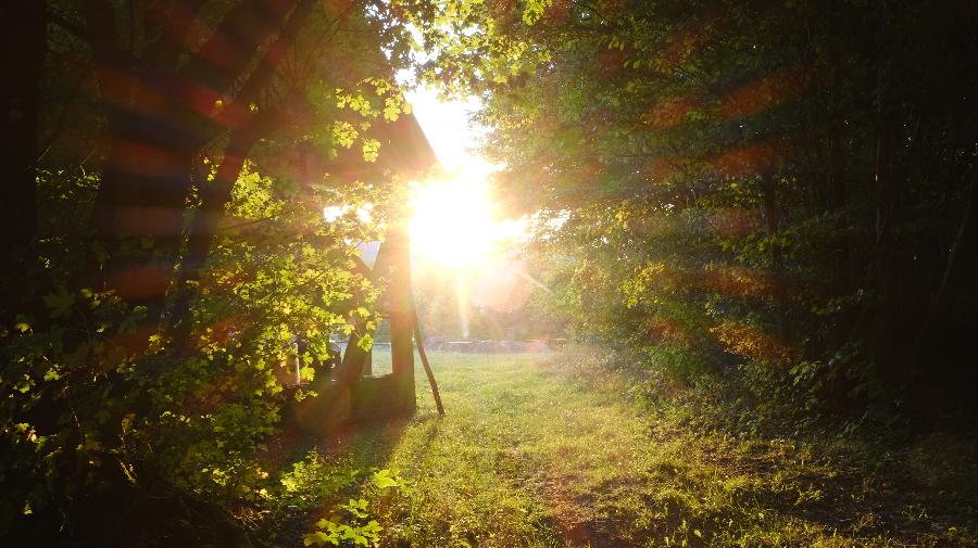 Fotospaziergang_Morgenstunde_BarbaraFromberger.jpg