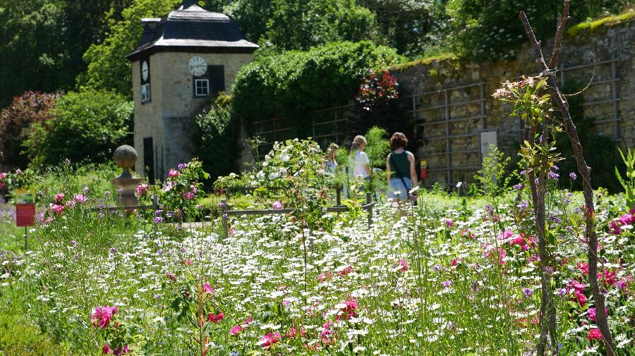 P1710336 - Kopie.JPG