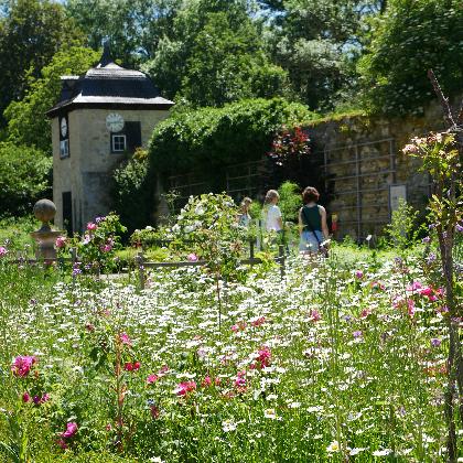 Bitte Wurzeln schlagen! Nachhaltig gärtnern