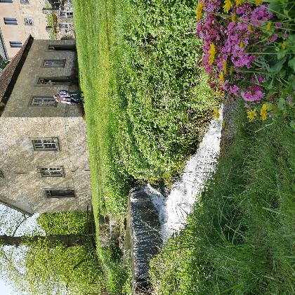 Tag der Gärten und Parks