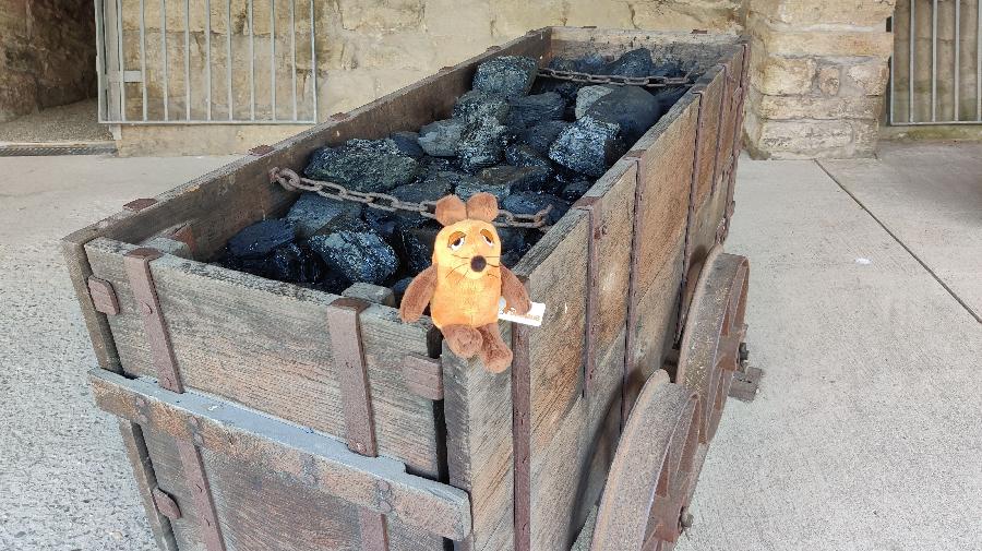 IMG_20240813_144603 16x9.jpg